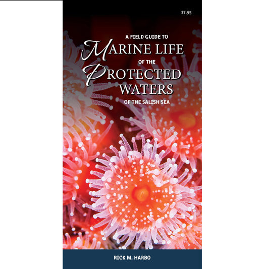 A FIELD GUIDE TO MARINE LIFE OF THE PROTECTED WATERS OF THE SALISH SEA