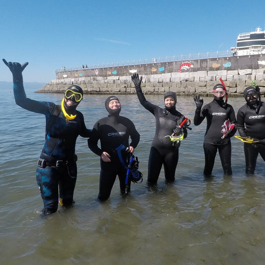 Under The Water - Discover Freediving - August 12, 14 & 16, 2026