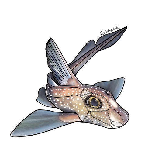 GETTING SALTY CHIMAERA STICKER