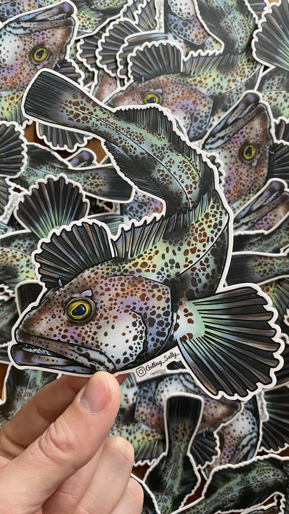 GETTING SALTY LINGCOD STICKER