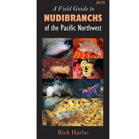 A FIELD GUIDE TO NUDIBRANCHS OF THE PNW