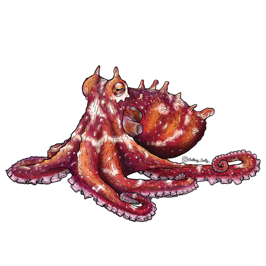GETTING SALTY RUBY OCTOPUS