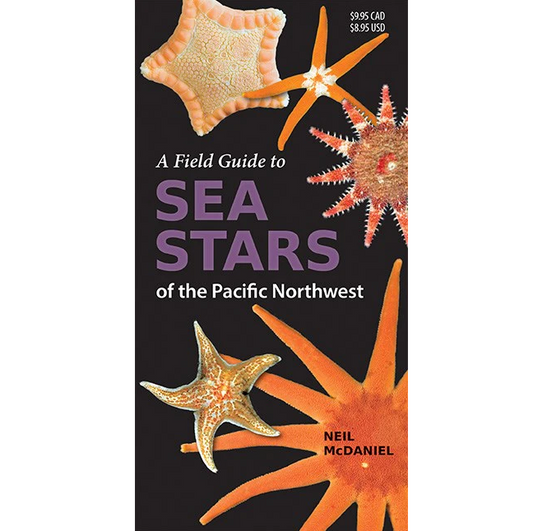 A FIELD GUIDE TO SEA STARS OF THE PNW