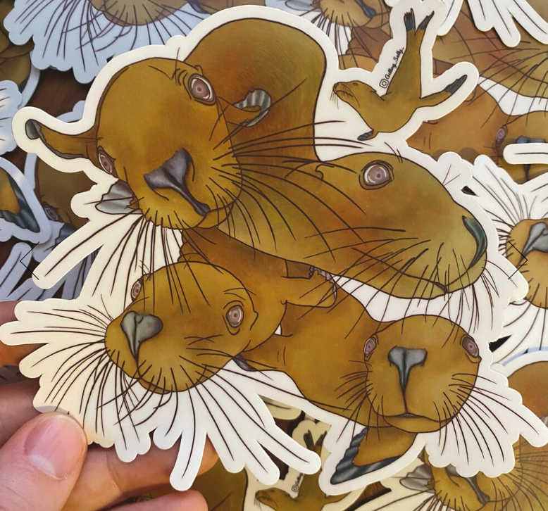 GETTING SALTY SEA LION STICKER