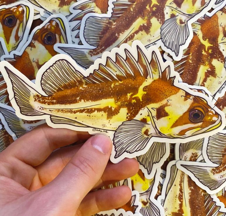 GETTING SALTY COPPER ROCKFISH