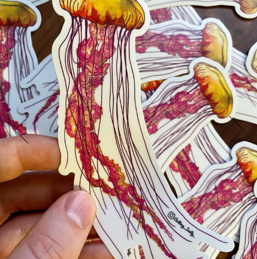 GETTING SALTY SEA NETTLE JELLYFISH