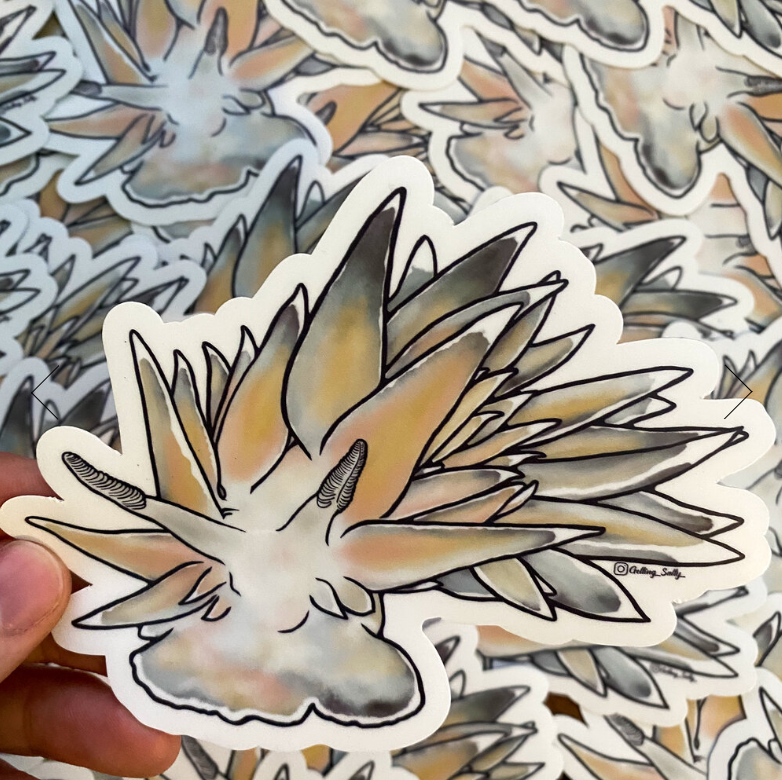 GETTING SALTY WHITE LINED DIRONA NUDIBRANCH