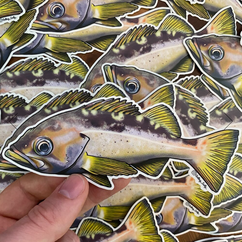 GETTING SALTY YELLOWTAIL ROCKFISH