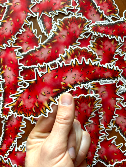 GETTING SALTY GIANT RED SEA CUCUMBER STICKER