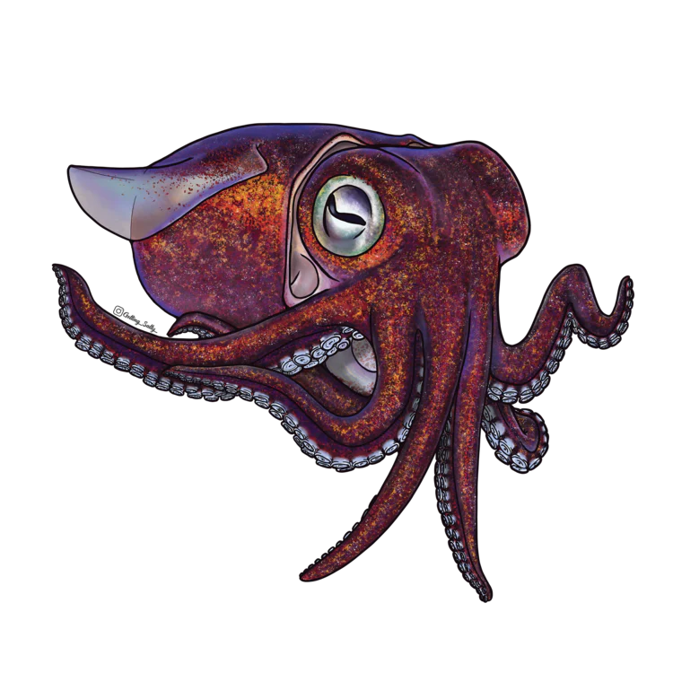 GETTING SALTY STUBY SQUID