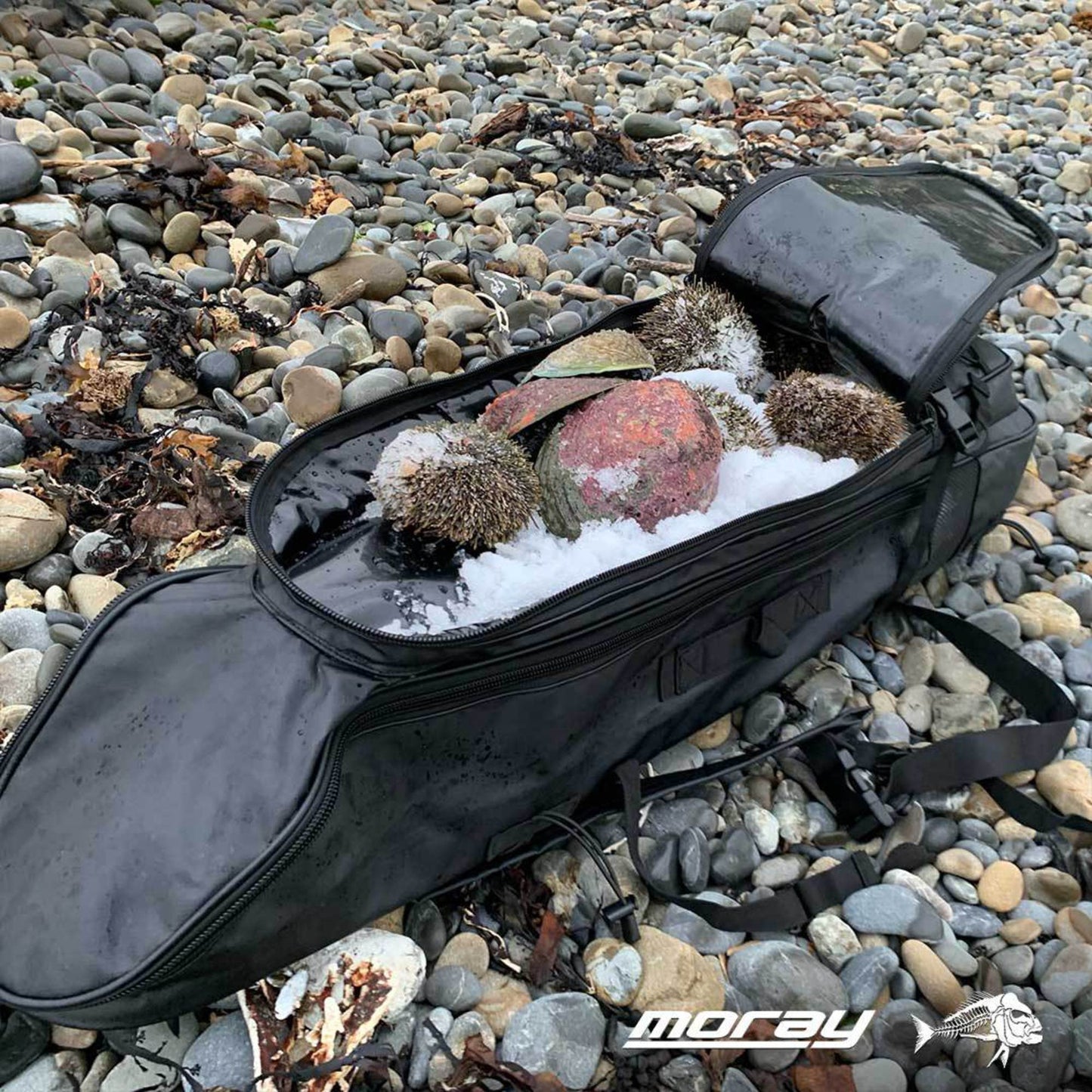 MORAY EXPLORER BACKPACK