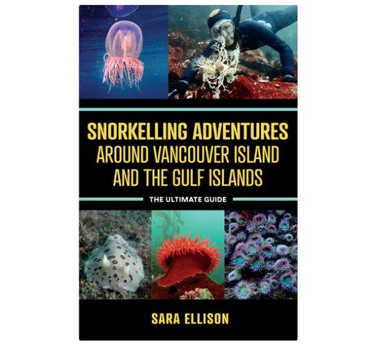 Snorkelling Adventures Around Vancouver Island and the Gulf Islands: The Ultimate Guide