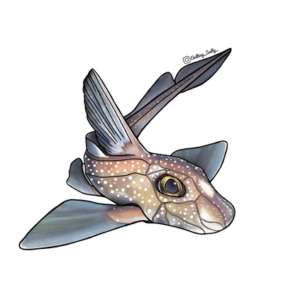 GETTING SALTY CHIMAERA STICKER