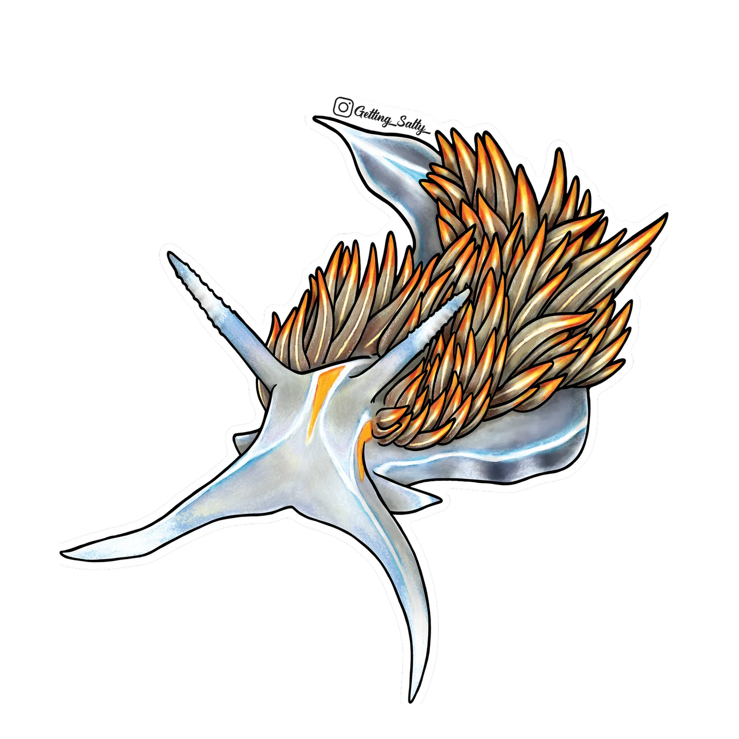 GETTING SALTY OPALESCENT NUDIBRANCH