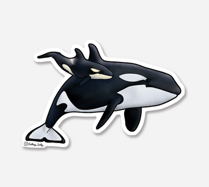 GETTING SALTY ORCA STICKER