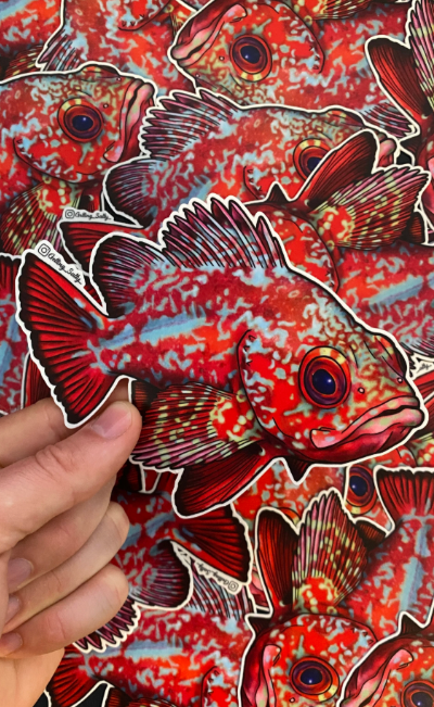 GETTING SALTY VERMILION ROCKFISH STICKER