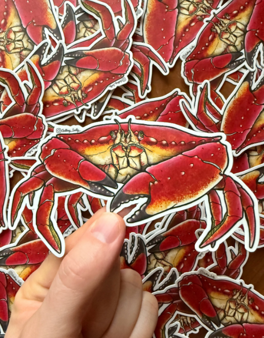GETTING SALTY RED ROCK CRAB STICKER