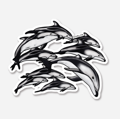 GETTING SALTY WHITE SIDED DOLPHIN STICKER