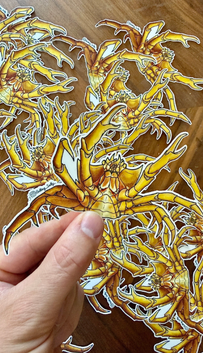 GETTING SALTY KELP CRAB STICKER