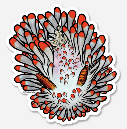 GETTING SALTY COCKERELLS DORID STICKER
