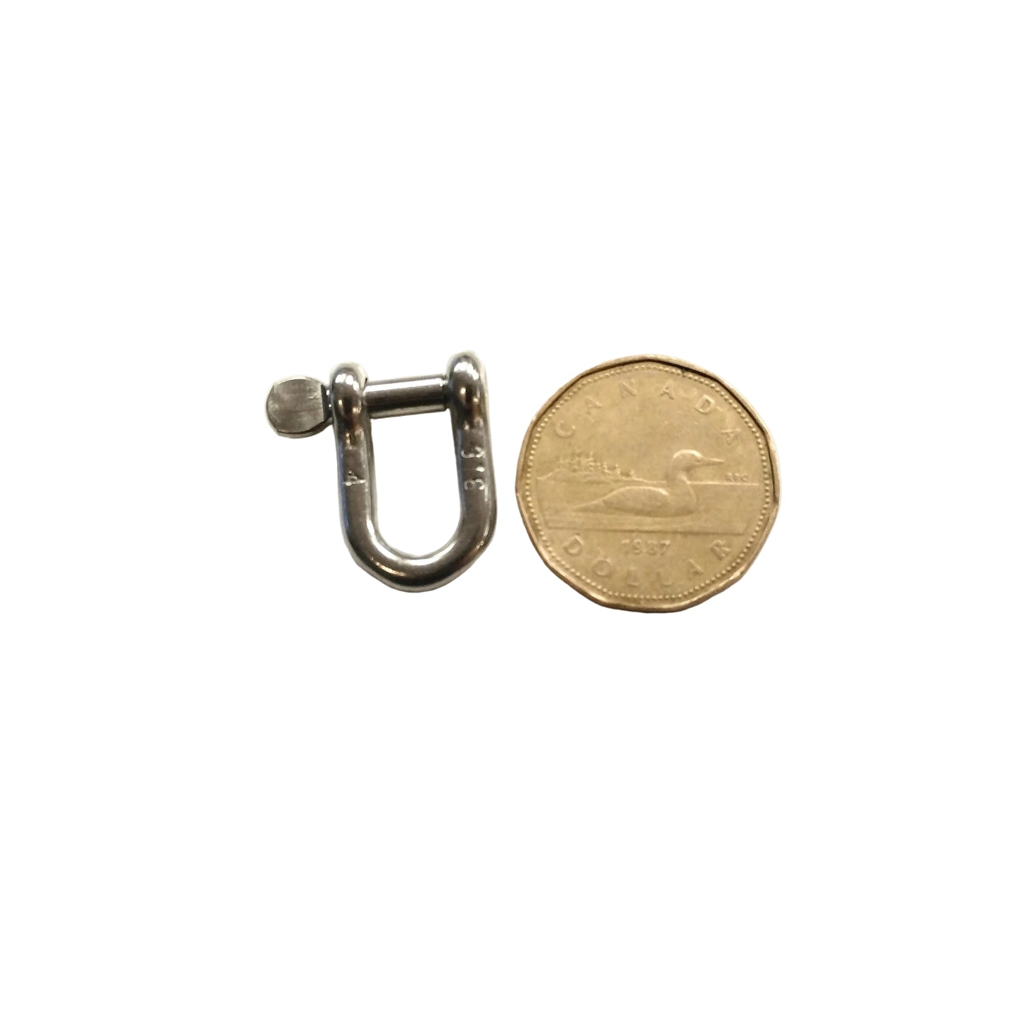WETTIE 316 STAINLESS MINI D-RING